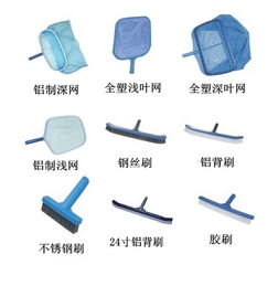 完善泳池清潔配套 高效清潔刷與清潔網的專業選擇